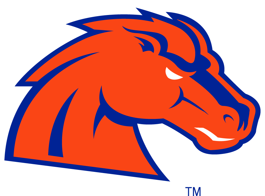 Boise State Broncos 2002-2012 Secondary Logo v31 diy DTF decal sticker